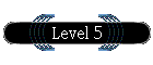 Level 5